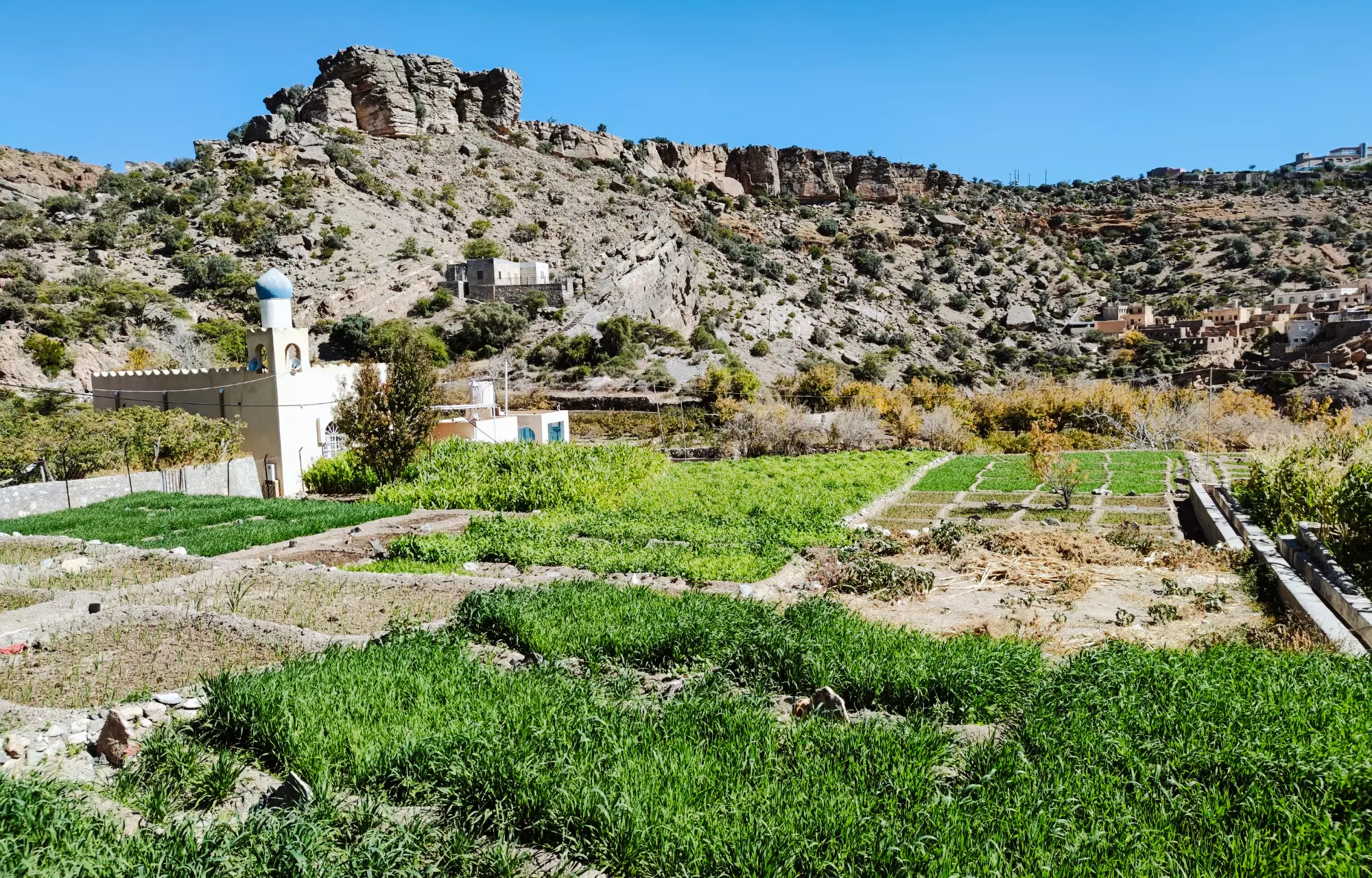 Djebel Akhdar