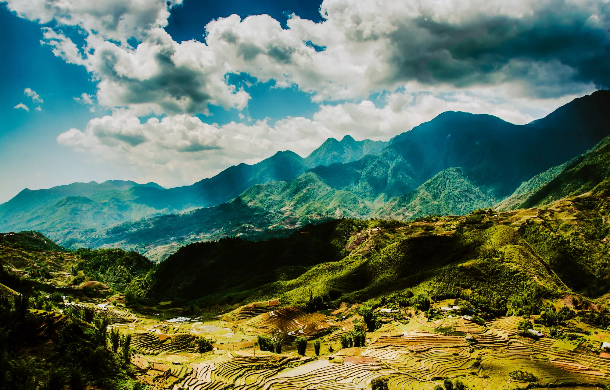 Vietnam Rizières