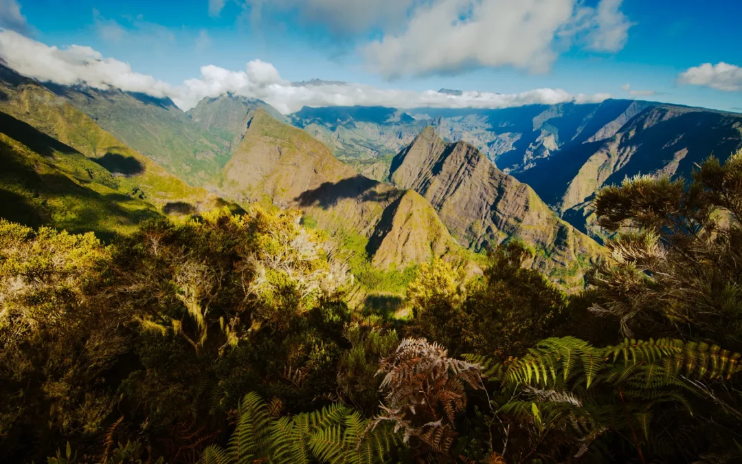 Combiné île Maurice & La Réunion